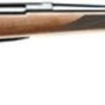 Tikka T3X Forest .243 Winchester 22.4" Barrel Blue Finish Wood Stock 3rd