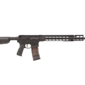 Primary Weapons Systems MK116 Mod 2 16" Piston AR Picmod Rail