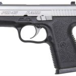 Kahr Arms KAHR PM45 45 ACP 3.1 POLY/SS NS
