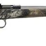 Keystone Crickett 22LR, Stainless Steel Mossy Oak Break Up Camo