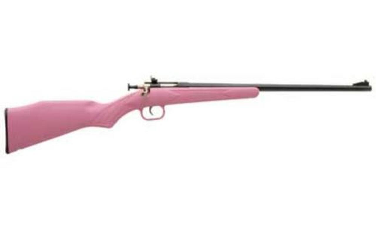 Keystone Crickett 22LR, Blued Barrel, Pink Synthetic Stock