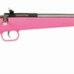 Keystone Davey Crickett Model 221 Youth, Lock 22LR 16.125 Inch Barrel Stainless Steel Finish Pink Synthetic Stock