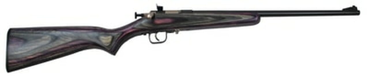 Keystone Crickett Youth, Lock, 22LR, 16.125" Barrel, Blue Finish, Purple Laminated Stock