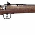 Keystone Crickett 22LR,16.12", American Walnut Blue, Davey Cricket