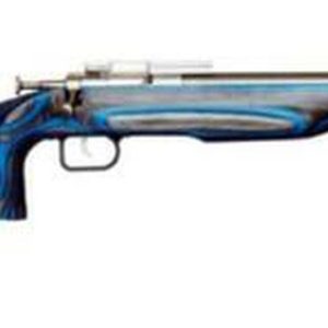 Keystone Crickett 22LR Target SS/Laminated