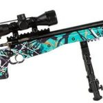 Crickett Precision 
 22LR, 16.125" Barrel, Synthetic Muddy Girl Stock, Blued