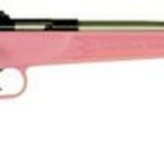 Keystone Crickett 22LR, 16.12", Pink Synthetic Stock, Stainless Steel