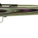 Keystone Crickett 22LR, 16.12", Purple Laminate Stock, Stainless Steel