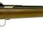 Keystone Crickett 22LR, Blued, Walnut Stock