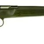 Keystone Crickett 22LR, 16.12", Black Synthetic Stock, Blued