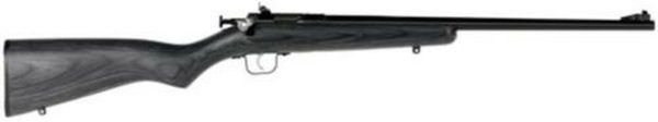 Keystone Sporting Arms, Crickett, Gen 2, Youth, Bolt Action, Single Shot Rifle, 22 LR, 16.125" Barrel, Blue Finish, Black Laminate Stock, Adjustable Sights