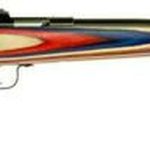 Keystone Crickett 22 LR, 16.12", Red/White/Blue Laminate Stock