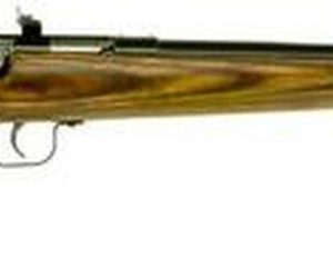 Keystone Crickett 255 Youth Model 22LR, 16.125", Blued, Laminate Stock, Single Shot