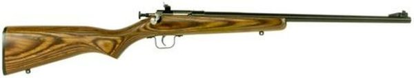 Keystone Crickett 255 Youth Model 22LR, 16.125", Blued, Laminate Stock, Single Shot
