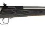 Keystone Crickett 22LR SS/Black Laminate