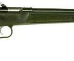 Keystone Crickett 22 Magnum, 16" Black Synthetic Stock, Blued