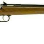 Keystone Crickett 22LR, 16.125", Walnut Stock