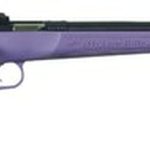 Crickett Single Shot Synthetic 22 WMR, Purple Synthetic Stock, Blued, 1rd