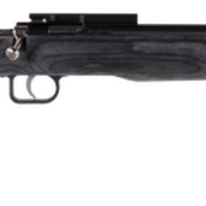 Crickett Black Target 22LR, 16.125" Barrel, Laminate Thumbhole Black Stock, Blued