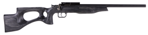 Crickett Black Target 22LR, 16.125" Barrel, Laminate Thumbhole Black Stock, Blued