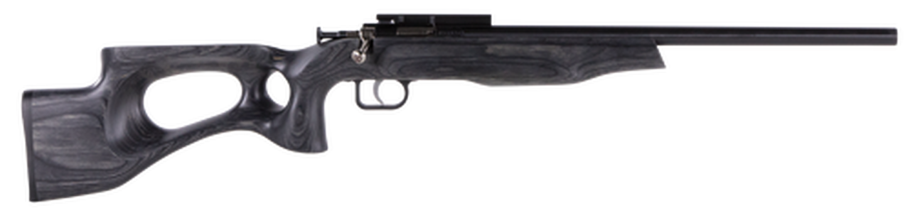 Crickett Black Target 22LR, 16.125" Barrel, Laminate Thumbhole Black Stock, Blued