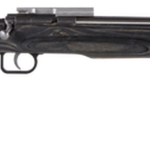 Crickett Black Target 22LR, 16.125" Barrel, Laminate Thumbhole Black Stock, Stainless Steel