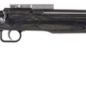 Crickett Black Target 22LR, 16.125" Barrel, Laminate Thumbhole Black Stock, Stainless Steel