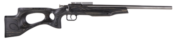 Crickett Black Target 22LR, 16.125" Barrel, Laminate Thumbhole Black Stock, Stainless Steel
