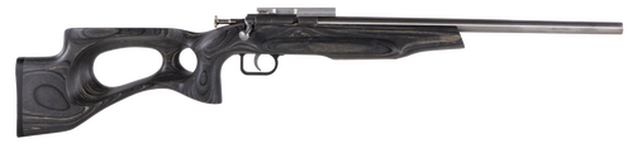 Crickett Black Target 22LR, 16.125" Barrel, Laminate Thumbhole Black Stock, Stainless Steel