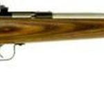 Keystone Crickett 22LR, 16.12", Laminate Brown Stock, Stainless Steel