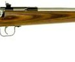 Keystone Crickett 22LR, 16.12", Laminate Brown Stock, Stainless Steel