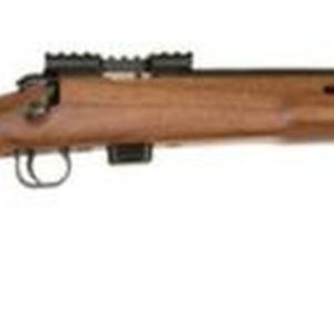 Benjamin 722 Varmint 22LR 16.1" Barrel Blue Finish Laminate Thumbhole Stock