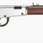 Henry Frontier Carbine Evil Roy Edition 22LR 16.5" Octagonal Barrel Silver Receiver, 12 Round Tube