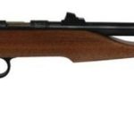 Chipmunk Hunter Bolt Action Pistol 22LR 10.5 Inch Fluted Barrel Blue Finish Walnut Barracuda Stock Williams