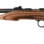 Chipmunk Silhouette Hunter 22LR 10.5 Inch Barrel Brown Laminate Stock TruGlo Sights Single Shot