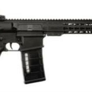 Armalite AR-10 Tactical 7.62x51mm 16" Barrel Magpul MBUS Flip-Up Sights Magpul STR Collapsible Stock Black 25rd