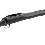 Kimber LPT (Light Police Tactical) .223 Rem.