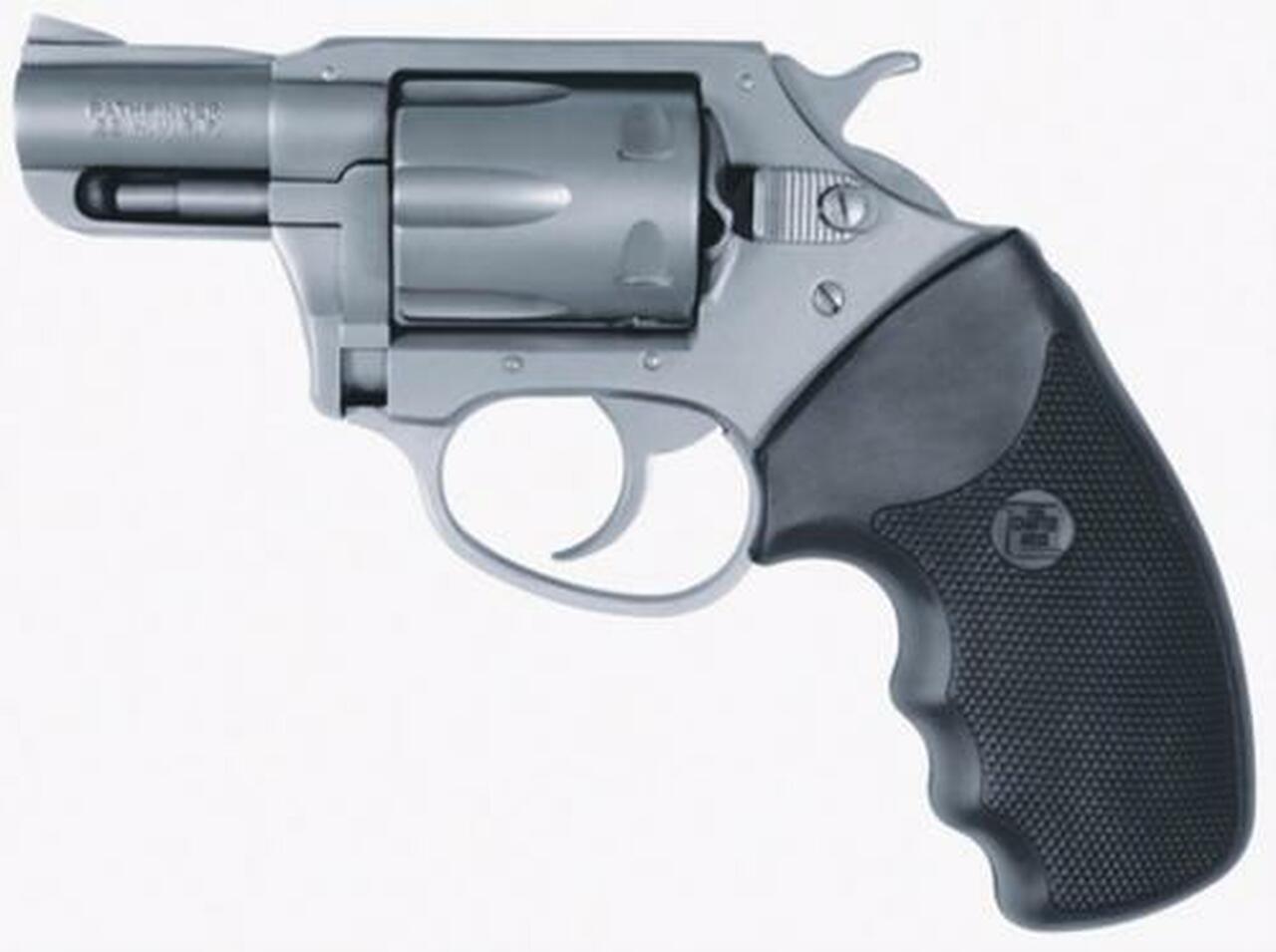 Charter Arms Pathfinder, .22 LR, 2" Barrel, 6rd, Stainless