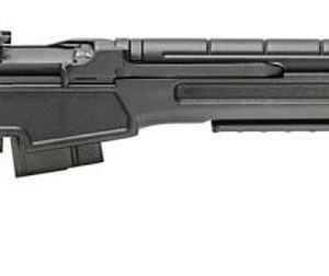 Springfield M1A 6.5mm Creedmoor 22 " SS Barrel Black Precision Adjustable Stock, 10rd