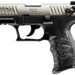 Walther P22 .22 L.R. CA Nickel 10 Round, 2 Mags