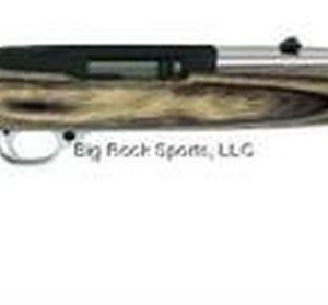 Ruger K10/22-RBBZ Auto Rimfire 22LR SS Finish, Laminated Stock