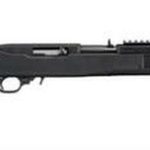 Ruger 10/22 22LR 18.5" Barrel Tapco Adjustable Stock 10 Rd Mag
