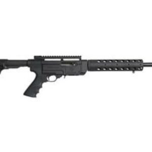 Ruger SR22, 22LR, 16", 10rd, Black Synthetic Collapsible Stock