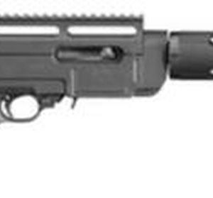 Ruger SR22, Compliant Model, Fixed Stock, 10 Rd Mag *CA Legal*