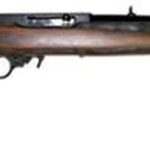 Ruger 10/22 Standard Carbine, 22LR, 18.5",, , 10 rd