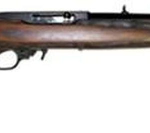 Ruger 10/22 Standard Carbine, 22LR, 18.5",, , 10 rd