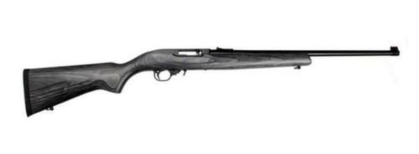 Ruger 10/22 Deluxe Sporter Bl/Lam, , 25 rd
