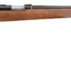 Ruger 7717RM 17 Hornady Magnum Rimfire Blued/Walnut 22" Barrel, Bolt, 9rd