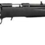 Ruger American Compact 22LR, 18" Threaded Barrel, Composite Stock,, rd, 10 rd