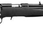Ruger American Rimfire Compact, TB Bolt 17HMR 18" Barrel, Black Composite Stock Blued, 9rd